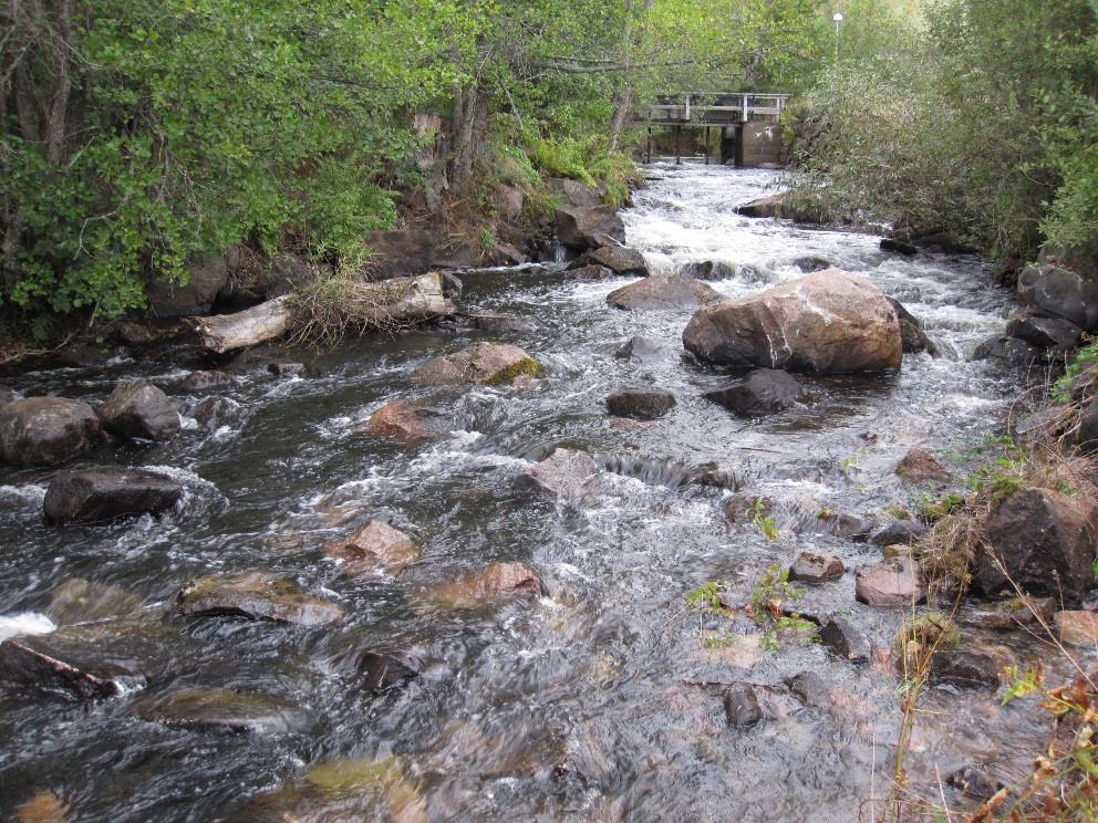 Emån en långsiktigt hållbar resurs för samhälle och miljö Åtgärdsarbete biotopvårdåtgärder Jungnerholmarna Mejerikvillen lekbottnar, ståndplatser Jungnerholmarna