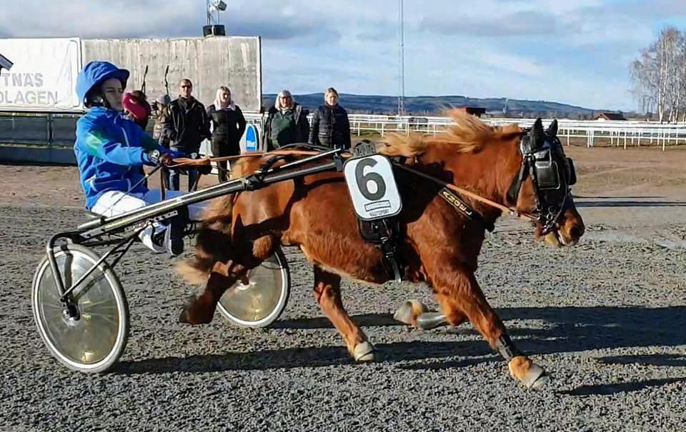 önskar lycka till Elin, Anna Ek och Angel i Mini Finlania som går uner agen! OBS! TITTA HIT! Nytt för iår är att et enast är e som placerar sig som får pris uppe vi vinnarcirkeln.