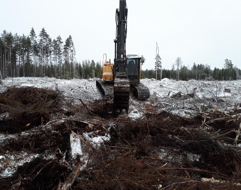 ARBETSRAPPORT 1011-2019 Utvärdering av markberedningsmetoden "pytsning" Evaluation of the soil preparation method pytsning FOTO: