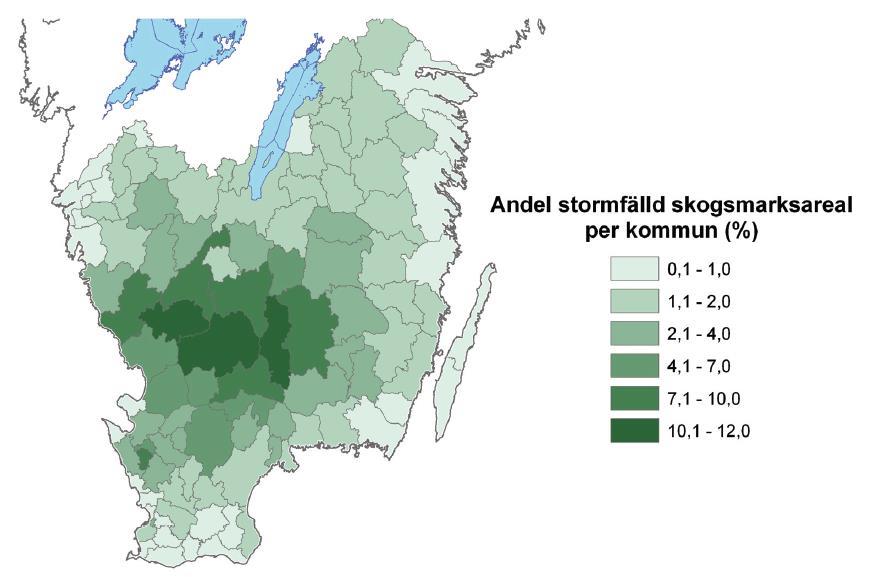Resultaten presenterade av Fridh (2006) och Valinger et al. (2006) visar att ca 80 % av den stormfällda skogen var gran-, 18 % var tall- och 2 % var lövskog. Ytterligare analyser av Valinger et al.