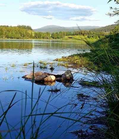 Vi förbättrar miljöer som påverkar många.
