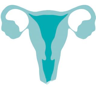 LEKTION 7: Graviditet INLEDNING Berätta att ni fortsätter med temat sexualitet och hälsa. Den här lektionen ska handla om graviditet.