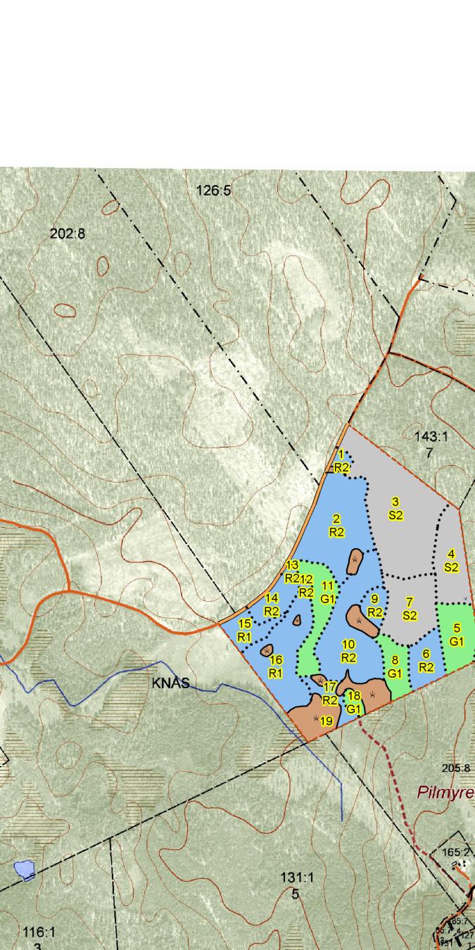 SKOGSKARTA Plan Knås 157:1