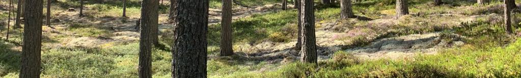 Uppgifterna ger därför ingen garanti för att fastighetens skogliga innehåll är exakt beräknade och fritar inte en köpare från sin undersökningsplikt vid förvärv.