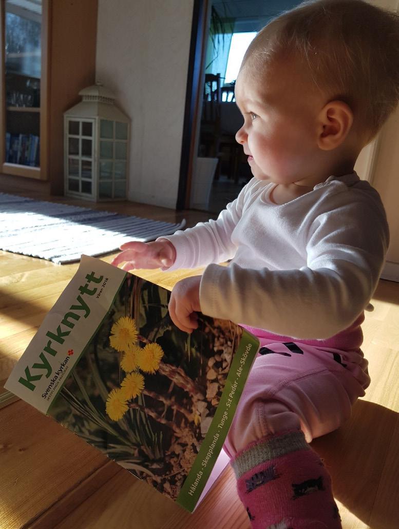 Har du tankar om vad som kan förbättras med vårt församlingsblad eller positiv feedback att komma med så gör som Polly, hör gärna av dig! Församlingsexpeditionen: sara.nielsen@svenskakyrkan.