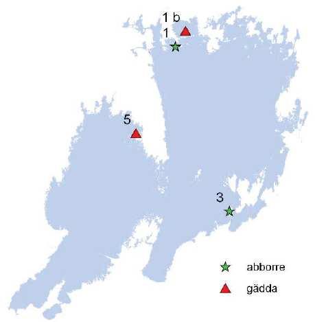 NORRA VÄNERN 2016 Bilaga 11 Kadmiumhalten i fisklever från Torsö har varit på en lägre nivå sedan år 2009, vilket även gällde år 2016, medan kadmiumhalten vid Åsunda var på en högre nivå.