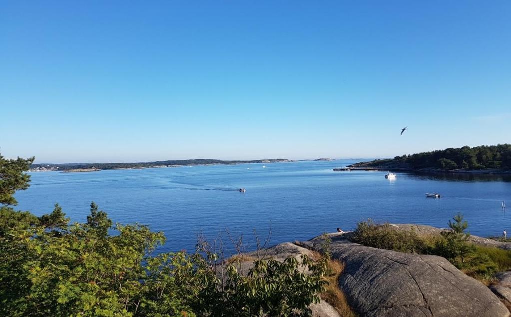 På uppdrag av Luftvårdsförbundet i