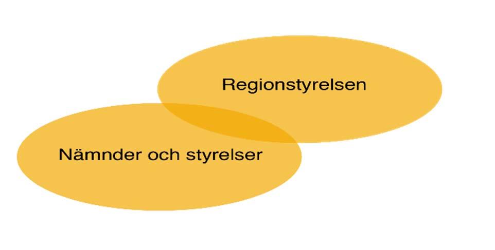 Policy för styrning Regionstyrelsen uppsiktsplikt över nämnder och styrelser och vakar över att VGR fullgör sina åligganden övergripande samordningsansvar för