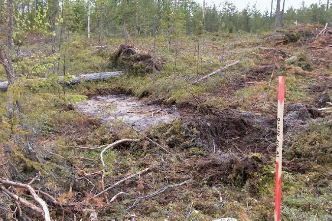 Norrbottens museum Dnr 345-2005 Lst dnr 431-7875-05 att bli en betydande stationsort och samhället övergick alltmer från bondebygd till industrisamhälle med sågverk och ullspinneri.