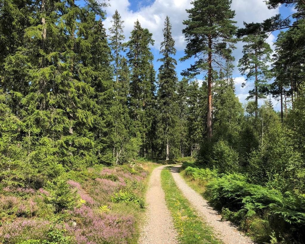 Om Skog & Lantbruk Skog & Lantbruk är ett rådgivningsföretag som arbetar med följande tjänster: - Fastighetsförmedling - Generationsskifte - Marknads-/avkastnings-/intrångsvärderingar -