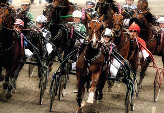 Virestedt a NOBLE STEP 0:, M Total: 0-0-0.00,r.s.e Quito Gold - : 0-0-0,.
