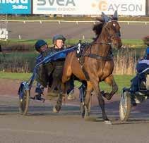 axelparti; svart Klas Olsson 9/- 9/0,a c, ' Klas Olsson (Nicki Hagström) a Klas Olsson /- /0,0 c c, 0' BLAK BELUGA (DK) 0:, AM *,0 M Total: -- 9.,svr.v.e Dream Vacation - : --,a 0.00 : 0-0-,9a.