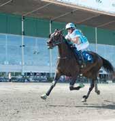 vinkel och ärmindlar; mlå Jonna Jinesjö /- /0,a c c,9 ' Magnus Johansson (Karl Johansson) a Magnus Johansson 0/- /0,a c c, ' SEE YOU IN HEAVEN 0:, AK, K, AM Total: 9 --.