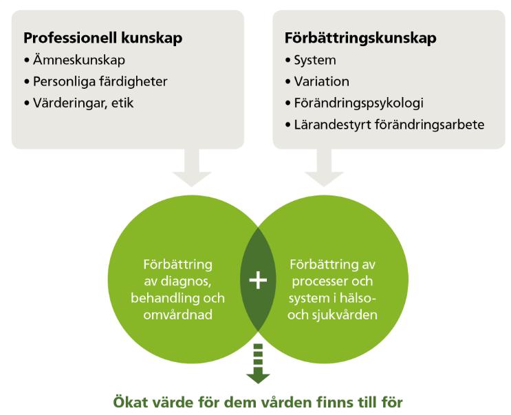 Prfessinell kunskap ch Kunskap m förändring