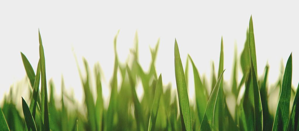 Green Deals Överenskommelser Ett nederländskt initiativ för för grön grön