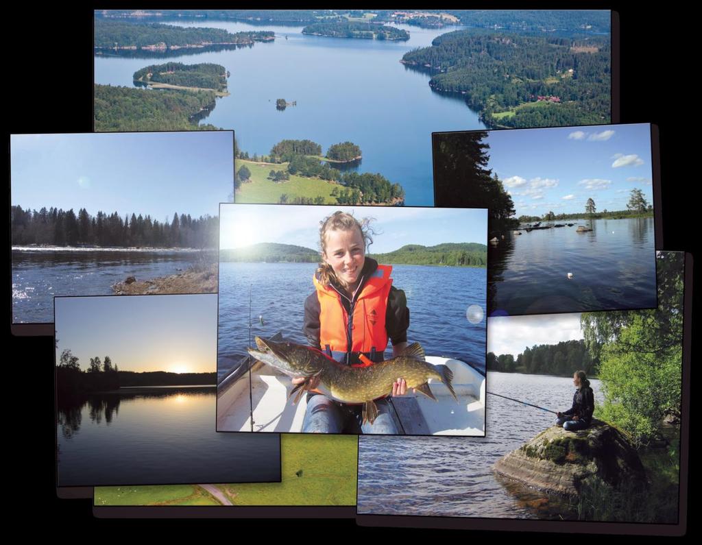 Sveriges Fiskevattenägareförbund Organisationen för dig som äger och förvaltar fiskevatten Vi arbetar för en stark äganderätt, för ett ansvarsfullt och engagerat ägande och för att landsbygdsresursen