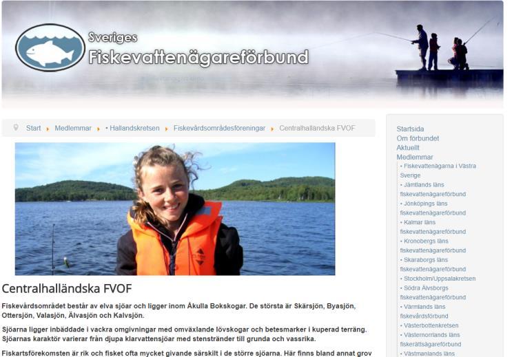Egen hemsida Gratis hemsida under förbundets hemsideportal Förbundets medlemmar erbjuds en egen hemsida på Sveriges Fiskevattenägareförbunds hemsideportal.