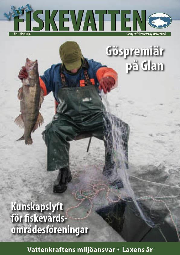 Våra Fiskevatten Medlemstidning för Sveriges Fiskevattenägareförbund Landets enda facktidskrift för förvaltning och utveckling av fiskevatten.