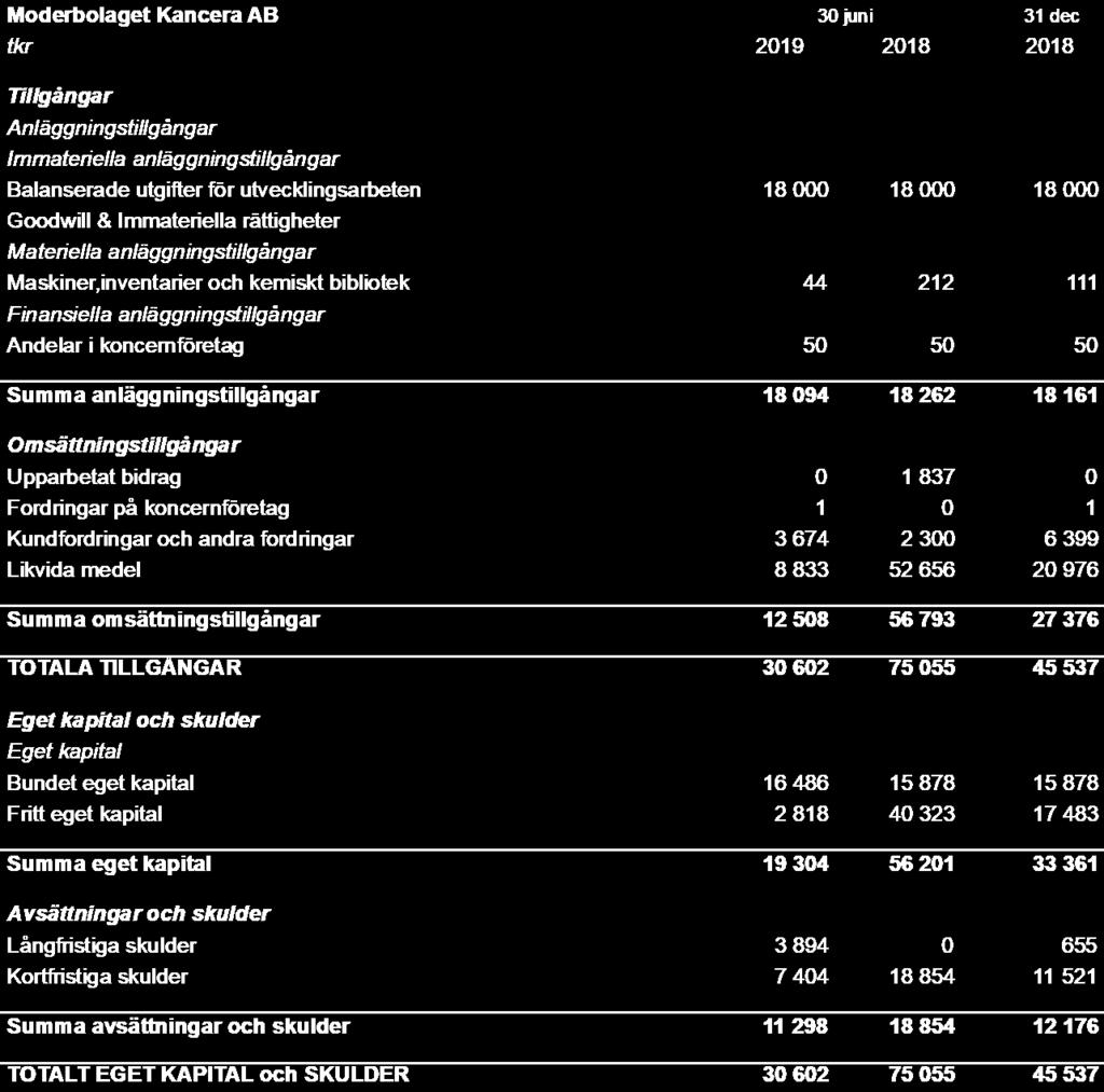 Balansräkning Kancera