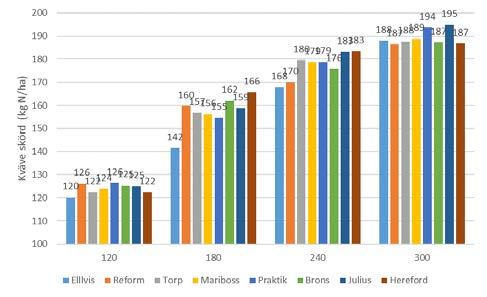 4.2.2 Protein Skillnaderna i sorternas proteinhalt skiljde sig inte åt statistiskt mellan åren eller mellan kväveled (dvs.