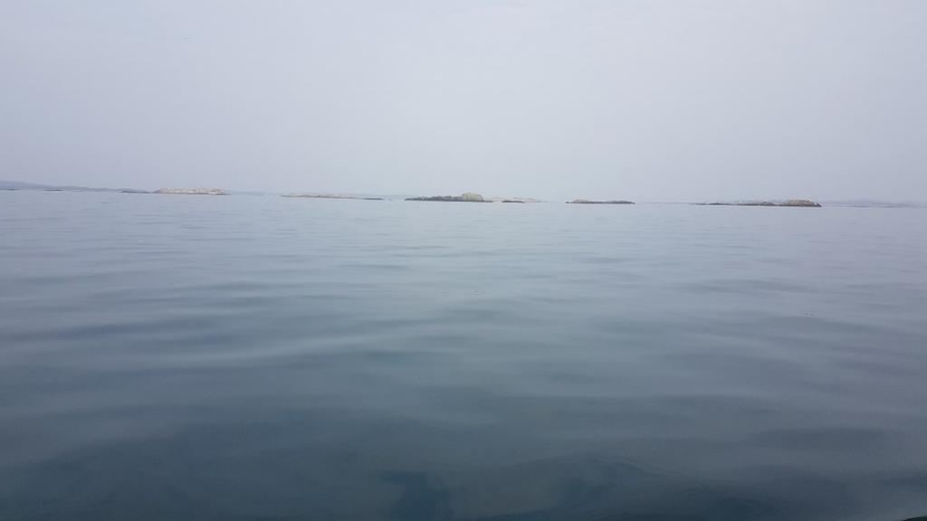 Figur 3. Översiktsbild Askims fjord. SWEREF991200 N 6386159, E 141393. Riktning N. 2.