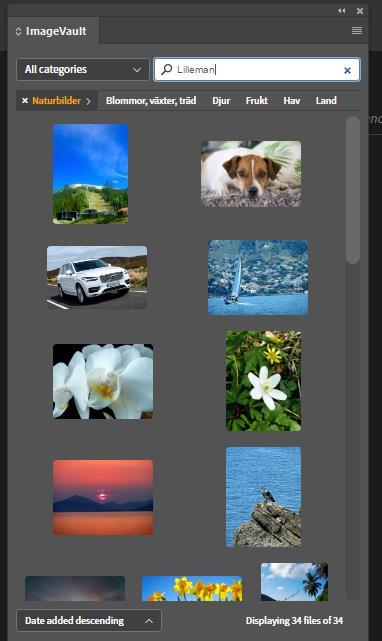 26.1. Infoga bilder från ImageVault i InDesign Filer presenteras i en