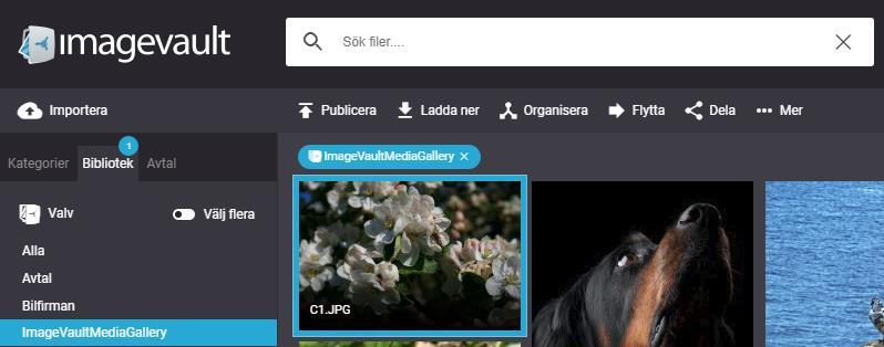 3.1.2. Välja valv Välj ett valv genom att aktivera fliken bibliotek och markera valvet. Alla bilder i det valda valvet visas.