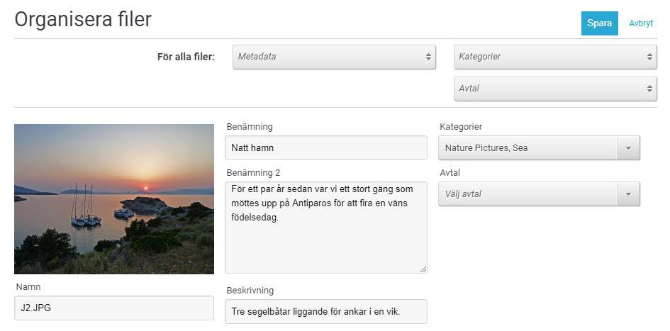7. Organisera filer Metadata, kategori och annan filinformation kan ändras efter en fil har laddats upp. Välj filen med ett klick i visningsområdet och tryck på Organisera.