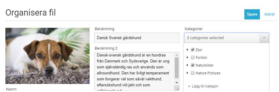 Det är också möjligt att lägga till kategorier under import. Addera kategori Addera kategori Tryck på plustecknet längst ned i kategorilistan.