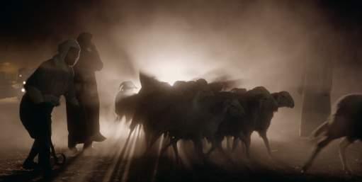 OF SHEEP AND MEN MIN ALGHANAM WALRAJUL WHAT COMES AROUND Swedish premiere AL GAMI'YA Swedish premiere France, Switzerland, Qatar I 2017 I Arabic dialogue with English subtitles l 78 min Lebanon,