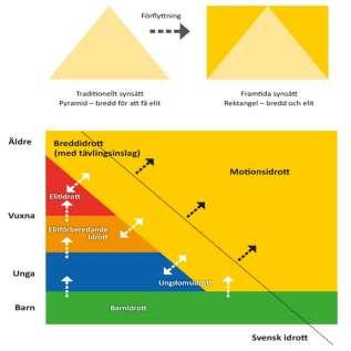 Vuxna och motionärer Från triangel till rektangel I Svensk Idrotts Strategi 2025 så går vi från den traditionella synsättet Pyramid bredd för att få elit till framtidens synsätt Rektangel bredd och