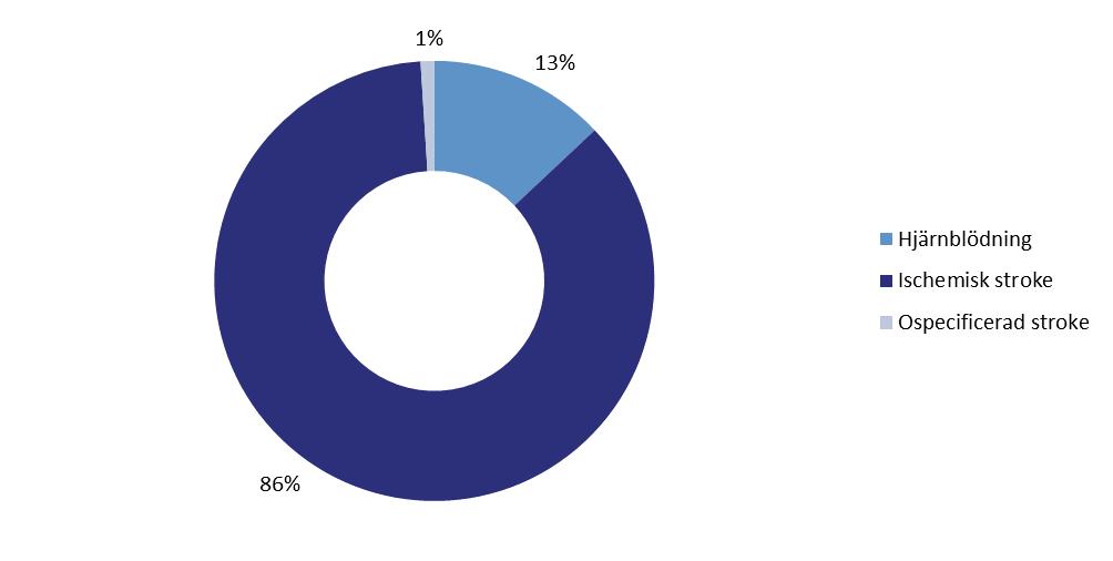 2.3.4 Stroketyp Ischemisk stroke och hjärnblödning (intracerebral blödning) Av de patienter som registrerades i Riksstroke under 2018 hade 86 % diagnosen ischemisk stroke och 13 % intracerebral