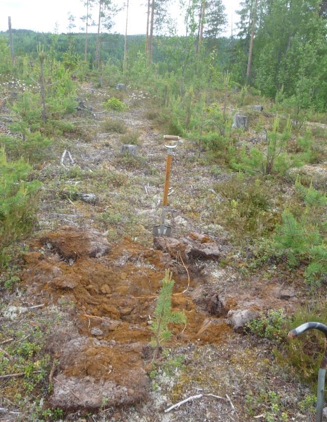 Provrutan figur 19 visar att blekjordens tjocklek var obetydlig i vissa provrutor.