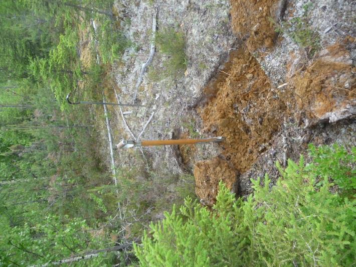 Sandmarken i utredningsområdets södra del är huvudsakligen flack med en brant slänt mot dalgången med Luleälven i V.