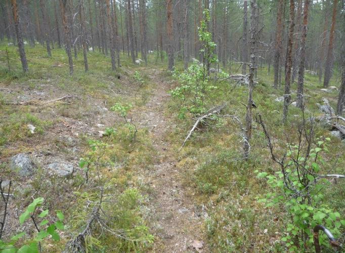 32 Objekttabell med fotobilder Registrerade objekt vid utredningen Bilaga 6 ID-nr Lämningstyp 2018 Beskrivning med tillhörande information och foto Antikvarisk bedömning 2018 LK2018:201 Färdväg