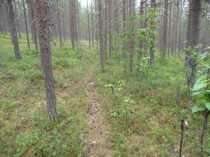 33 Foto mot SSO: Lennart Klang 2018. Helt övergiven del av vägen. Foto mot SSO: Lennart Klang 2018. LK2018:202 Kemisk industri Granskning 2018-06-12 (LK): Skadestatus: Välbevarad.