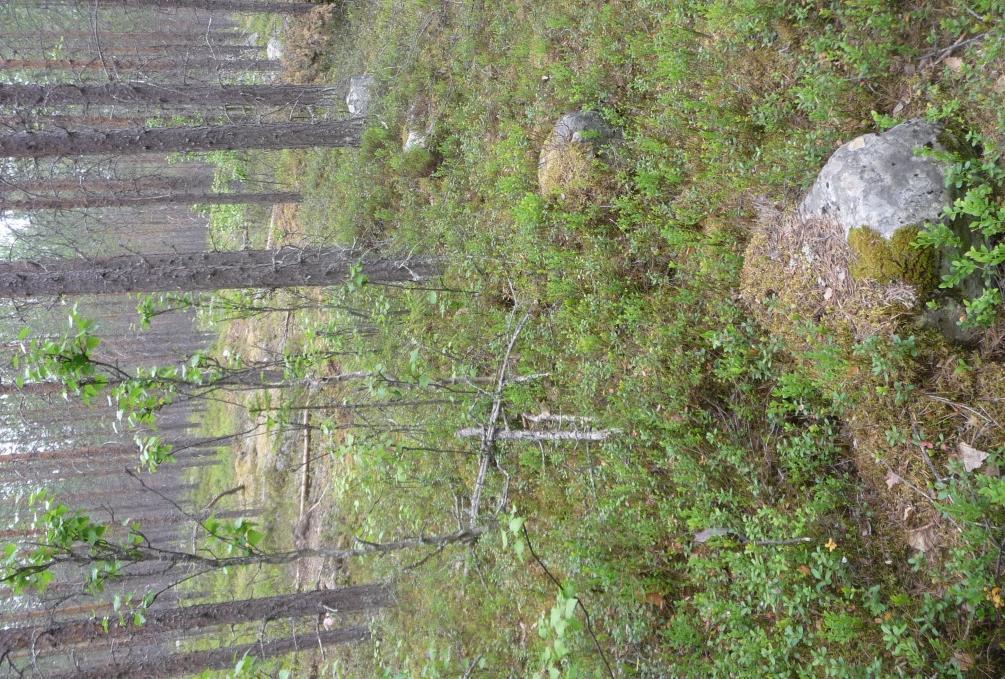 Övrig kulturhistorisk lämning Beskrivning: Tjärdal, 12-13 m i diameter, bestående av en grop, 4 m i diameter och 0,5 m djup, omgiven av en vall,4-5 m bred och 0,2-1 m hög (högst i VSV), med i