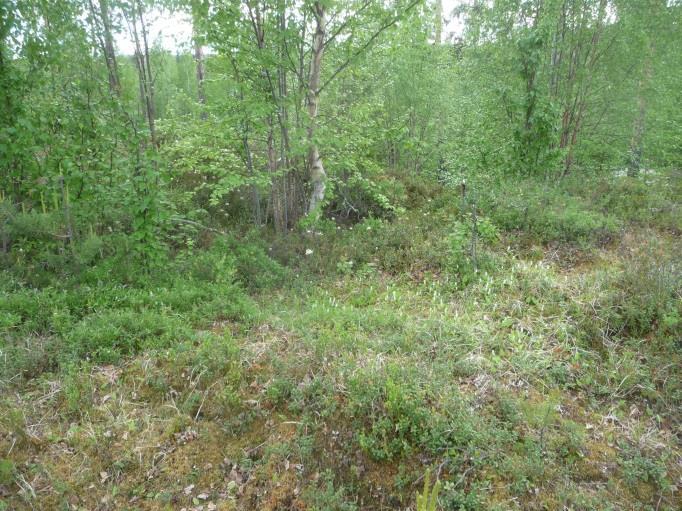 34 Orientering: Ca 13 m VSV om planerat vägområde och 18 m Ö om befintlig väg.