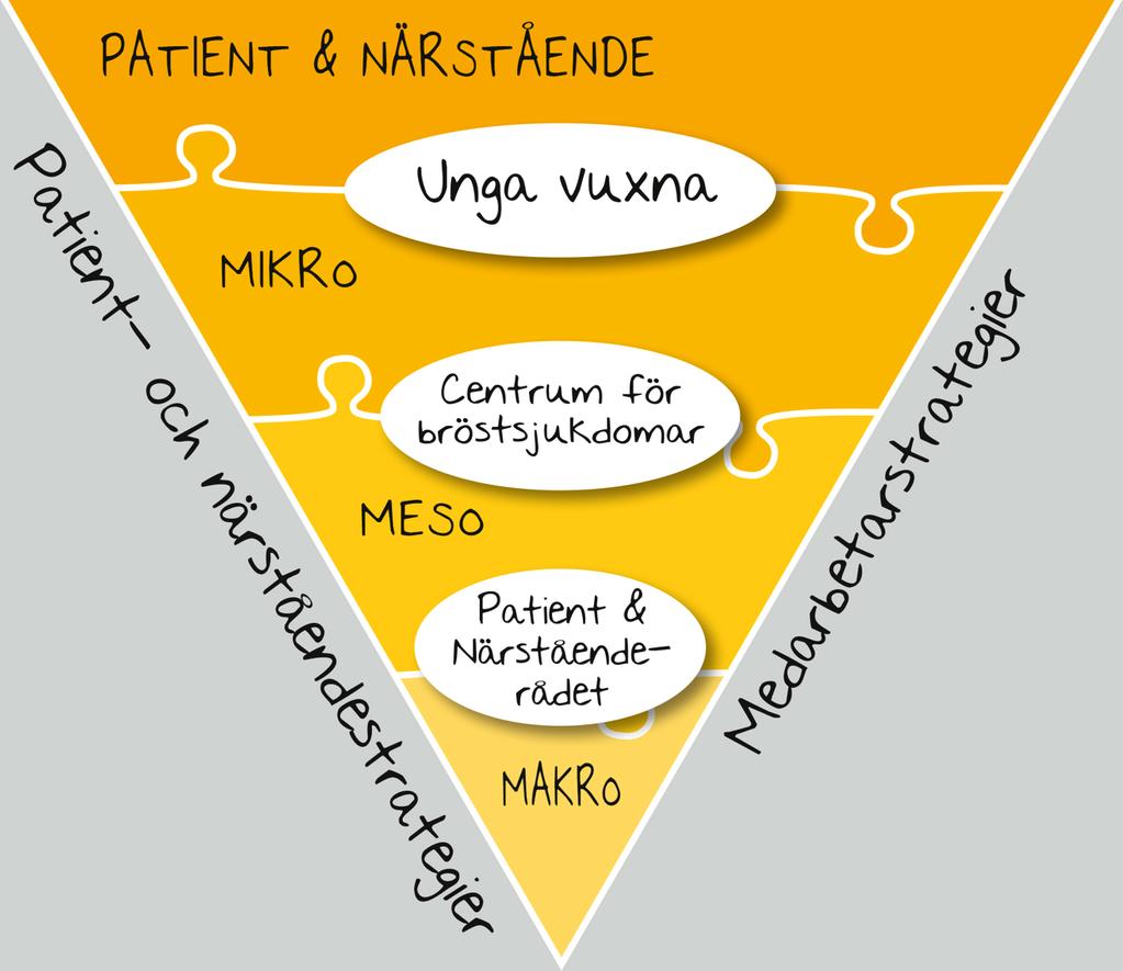 Patientperspektivet Patienters och närståendes medverkan i utvecklingsprojekt, riktlinjearbete och kvalitetsuppföljning Fast vårdkontakt - Kontaktsjuksköterska - Aktiv