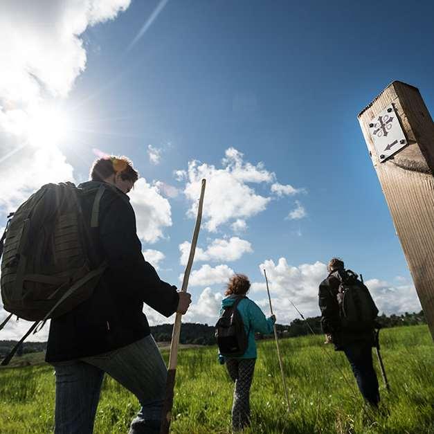 Kortare sträckor, bra bo-äta-göra service samt transportmöjligheter. Färdiga vandringspaket. Villiga att betala.