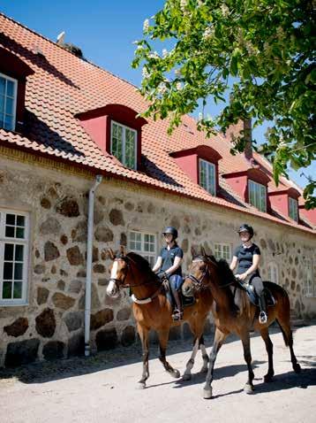 100 Djuren i naturbruket 100 Fordon och redskap 100 Programfördjupning 900p Ridning och körning 200 Djurhållning 100 Hästkunskap 1 100 Hästkunskap 2 100 Svenska 2 100 Matematik 2a 100 Företagsekonomi