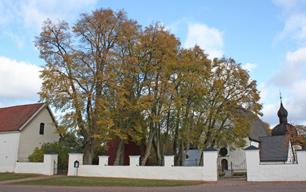 Figur 24. Vy från byvägen mellan gården och torpen i Erlandstorp, fotograferat mot projektområdet. N. Fågelås kyrkby och Almnäs, bebyggelse. Nr 4, avstånd ca 1,5 8 km.