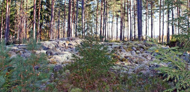 Figur 29. Grav i norra delen av området vid Kongsbacka källa. I bakgrunden skymtar Hökensås och projektområdet. Kongsbacka källa, fornsmiljö. Nr 9, avstånd ca 4,6 11 km.