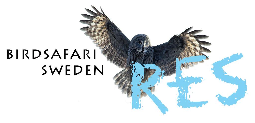Resan är ett samarbete mellan Birdsafarisweden och Karlmark Resor. Birdsafarisweden - Res www.