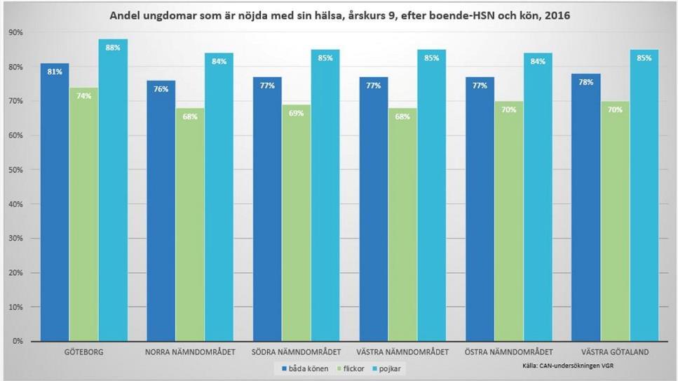 Skillnader i hälsa och livsvillkor ska minska, 2019-01-23 13 (18) Bland skolungdomar mäts andelen som är nöjda med sin hälsa genom Centralförbundet för alkohol- och narkotikaupplysning, CAN