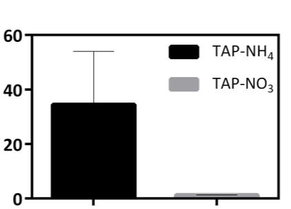 Fold change /TEF30-amiRNA A TAP-NH 4 TAP-NO 3 Supplemental Figure S6.