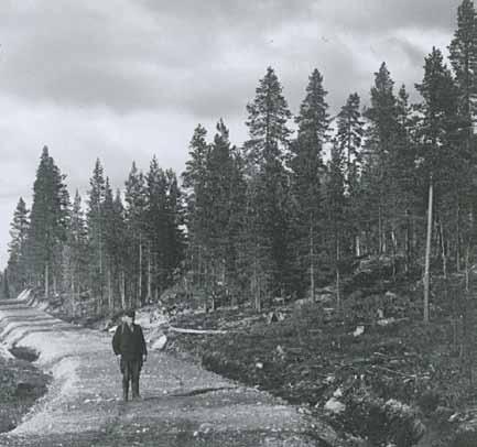 Ibland var även arrendatorn på Tjäderåsen där med häst och kärra för att köra grus.