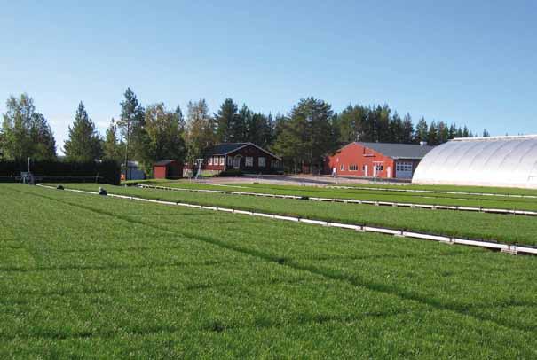 Då någon av oss åkte ner till Orsa brukade han be oss köpa en flaska eter på apoteket. Då vi återvände med denna brukade han ta sig en liten klunk eter och sen lägga sig på britsen för att vila.
