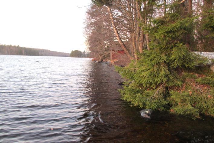 Bottenfauna i Kalmar län 216 Vattensystem: Vattendrag/namn: Provpunktsbeteckning: EMÅN Hjortesjön, Sjöruda BF15 Provdatum: Lokaltyp: Sjö 216113 Naturligt/grävt: naturligt Koordinater x: 635385 y: