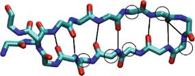 As a type of secondary structure, a b-hairpin (Fig. b) consists of a linking reverse turn and two b-strands with a hydrogen bond (H-bond) pattern like an antiparallel b-sheet.